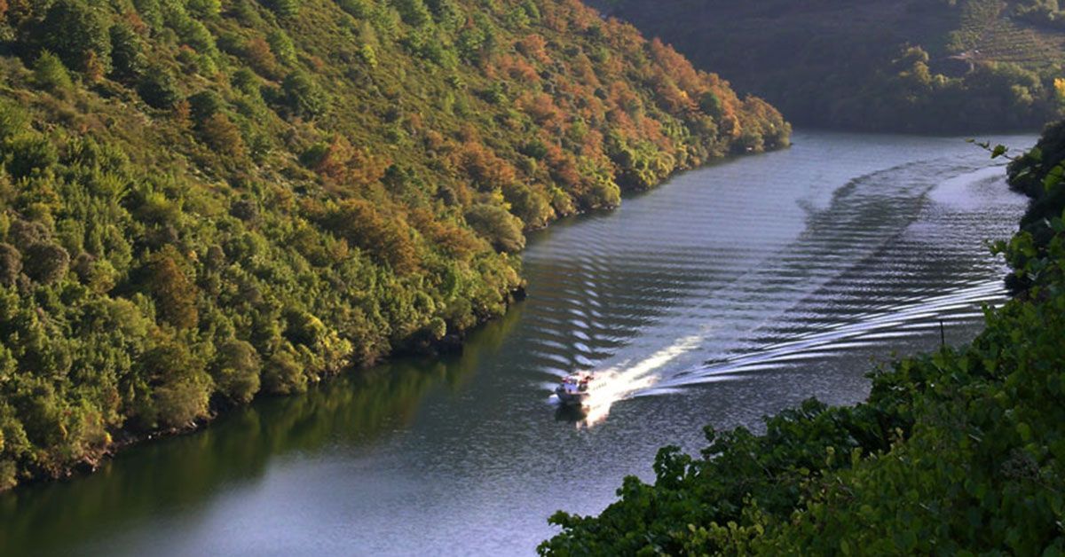 catamarán ribeira sacra 2