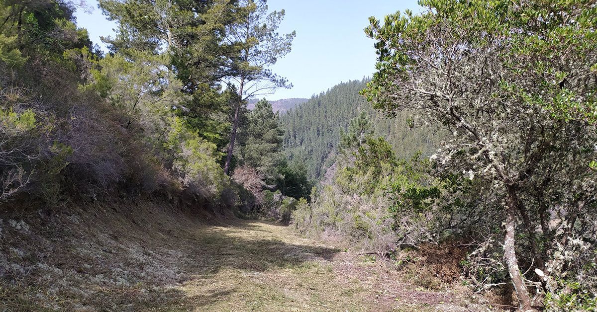 pobra brollón ruta castaña