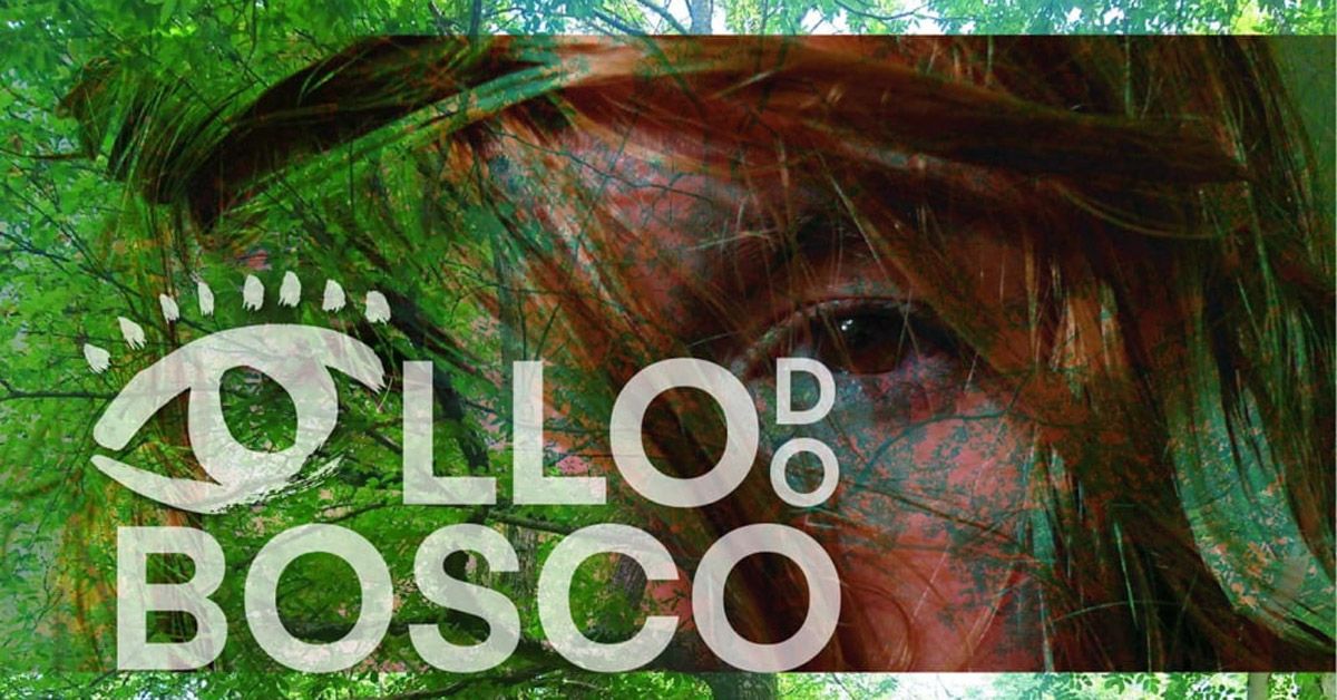 ollo do bosco folgoso