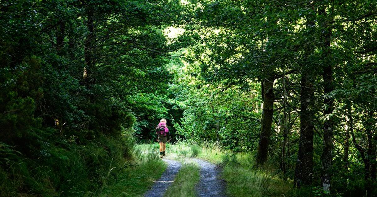 camino primitivo fonsagrada