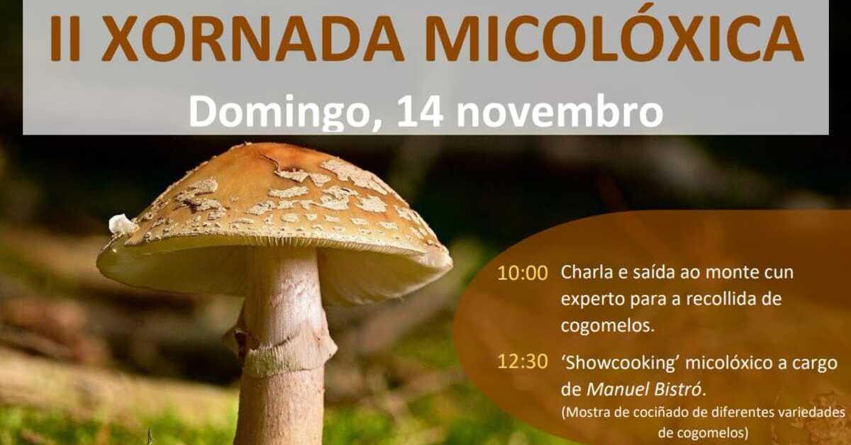 Cartel Xornada Micolóxica portada