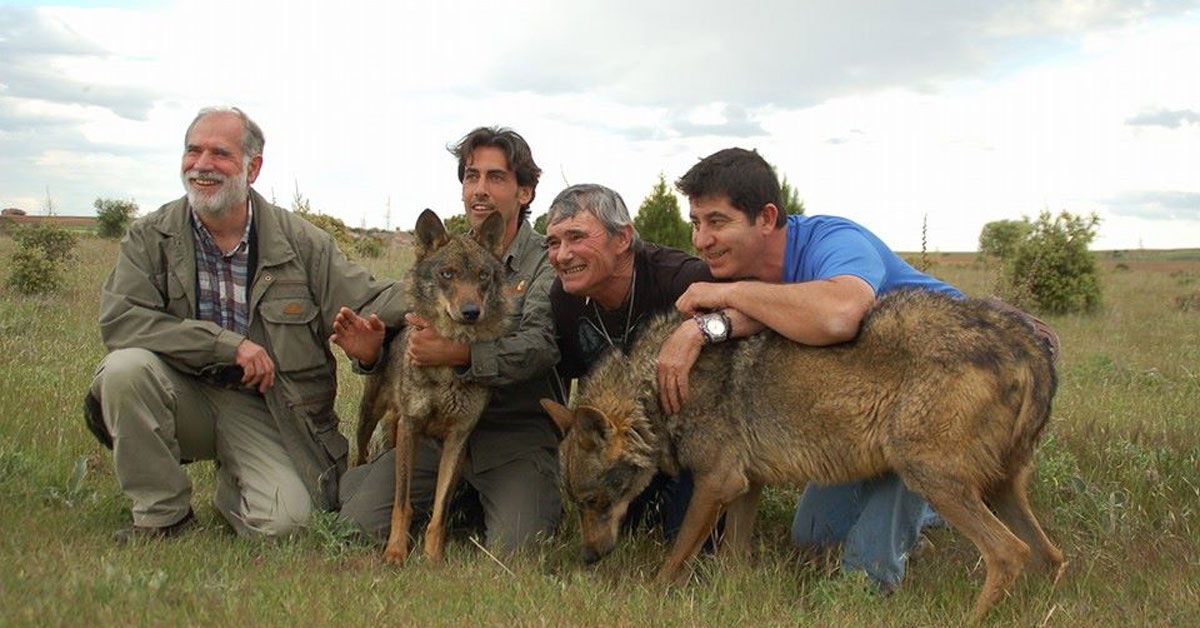 LOBOS MARCOS RODRIGUEZ