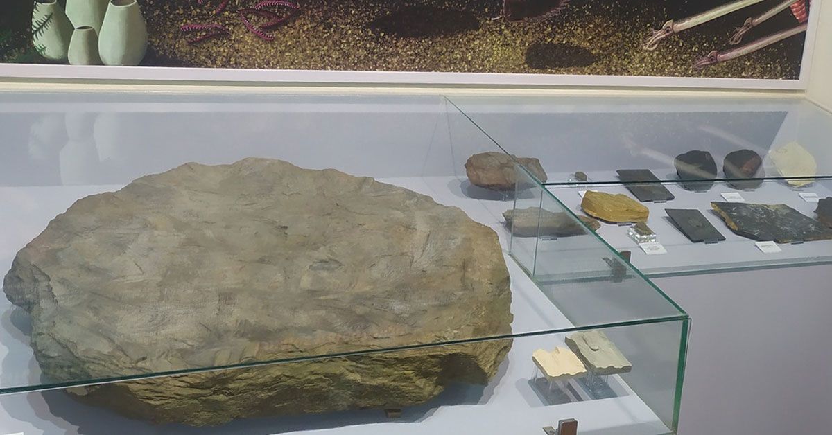 Pedra Museo Xeolóxico Quiroga