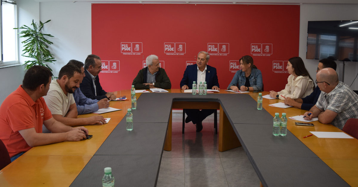 psoe lugo sanidade