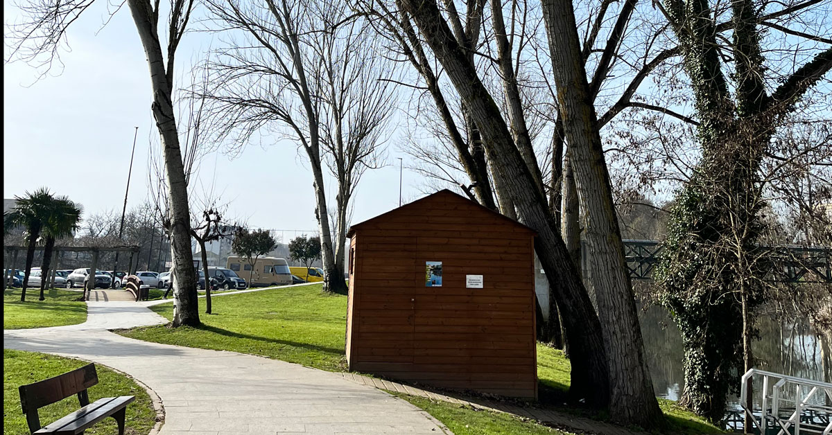 árbore parque dos Condes Monforte