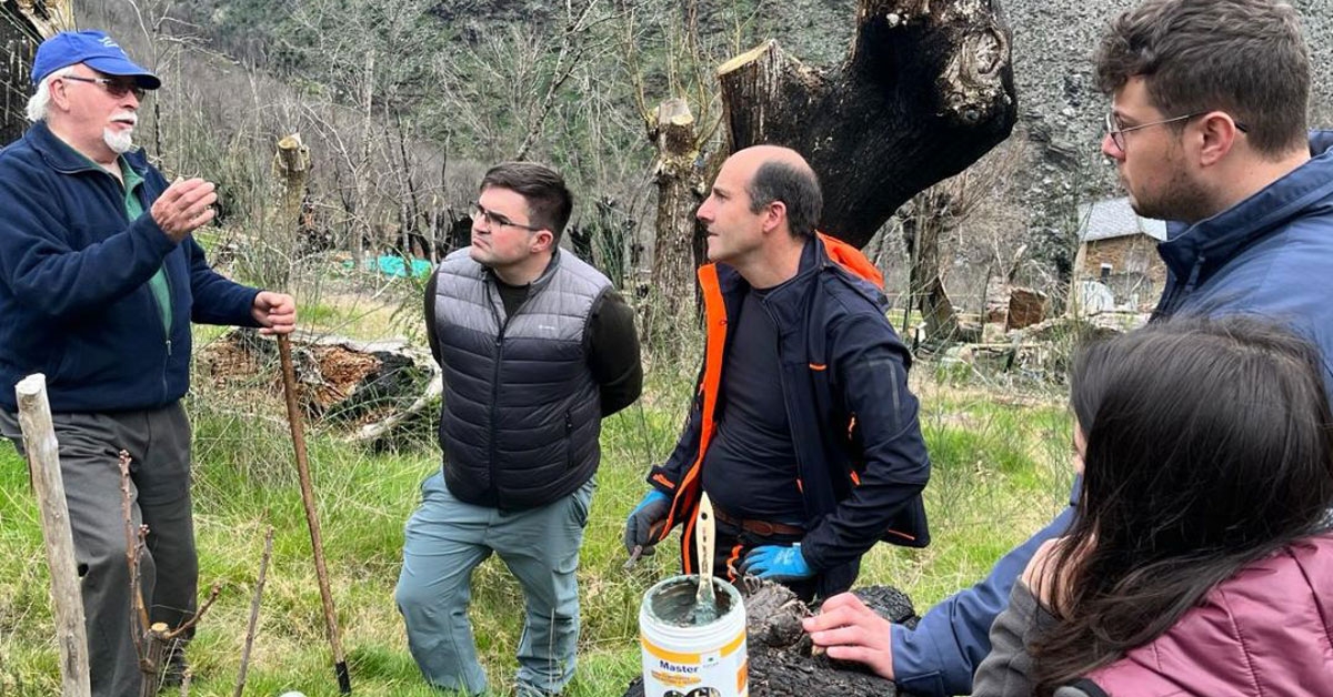 xornada Poda GDR Ribeira Sacra