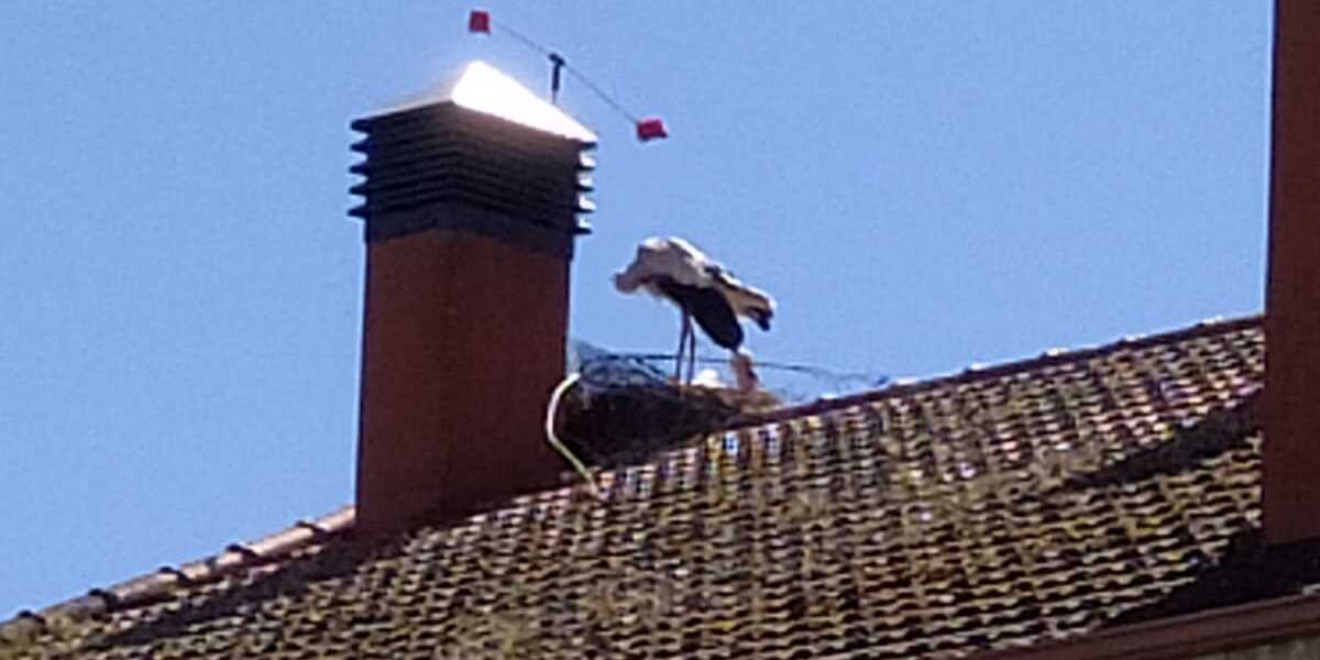 Cegoñas Chantada