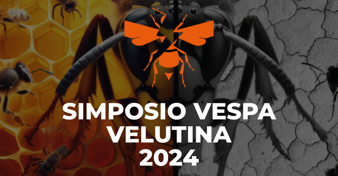 Cartel 'Simposio Vespa Velutina 2024'