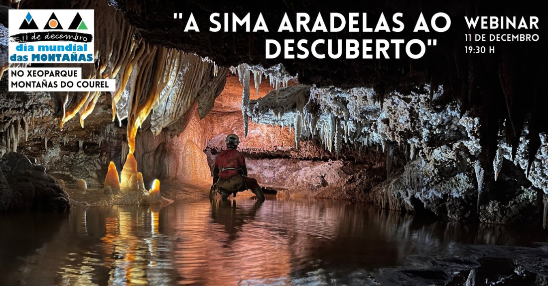 webinar-sima-das-aradelas