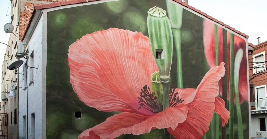 Mural 'Amapolas', Doa Oa