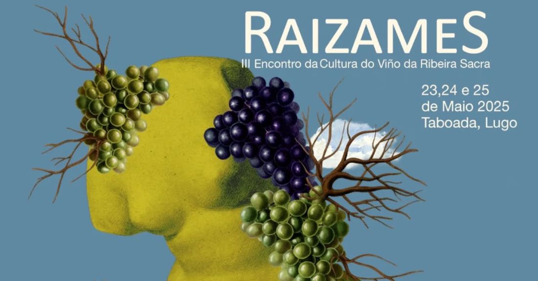 raizame-taboada