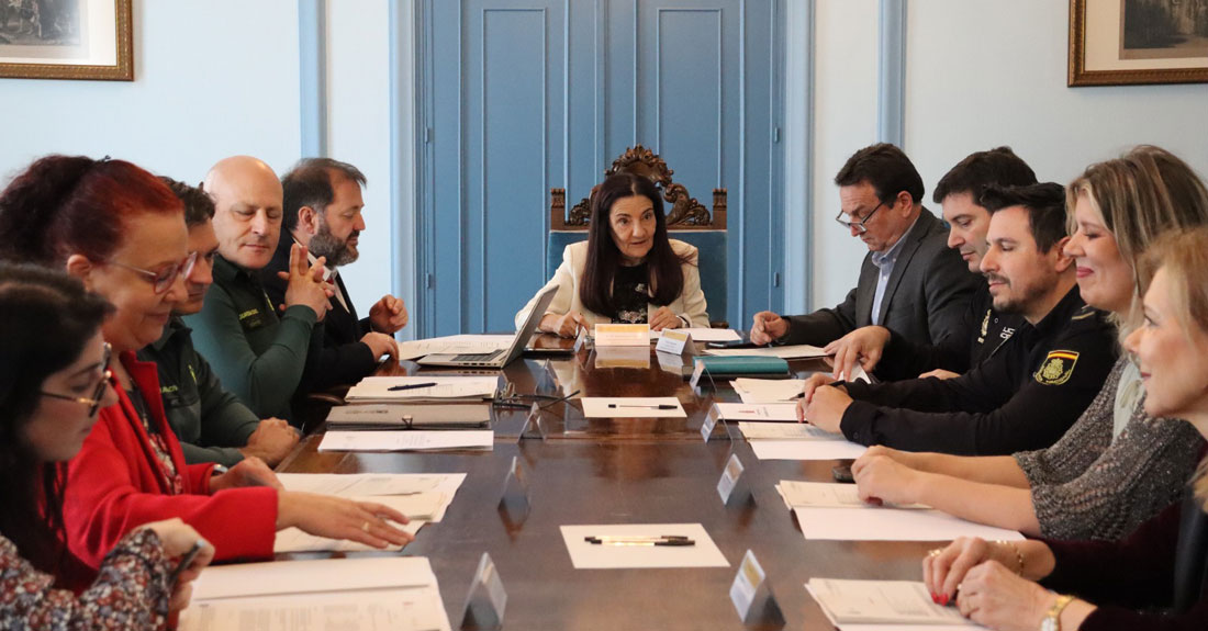 reunion-plan-director-seguridad-centros
