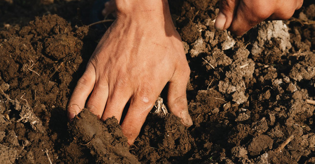 sementar-na-terra-agricultura-campo