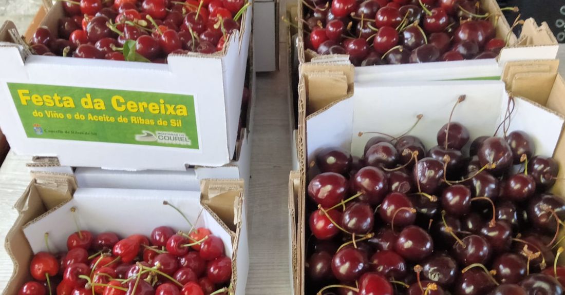 festa-da-cereixa-ribas-de-sil-recurso