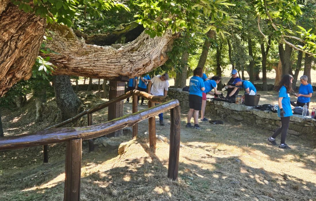 voluntariado-souto-de-rozavales-manzaneda
