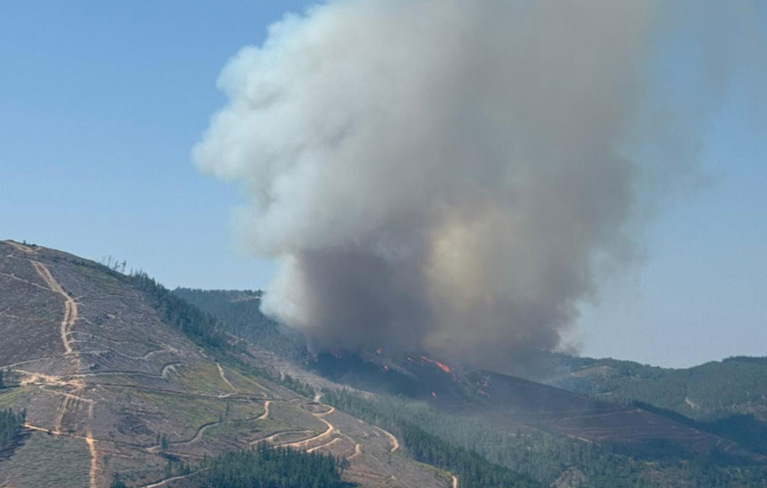 Quiroga-incendio