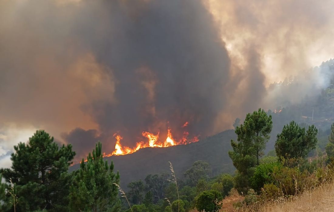 incendio-quiroga-3
