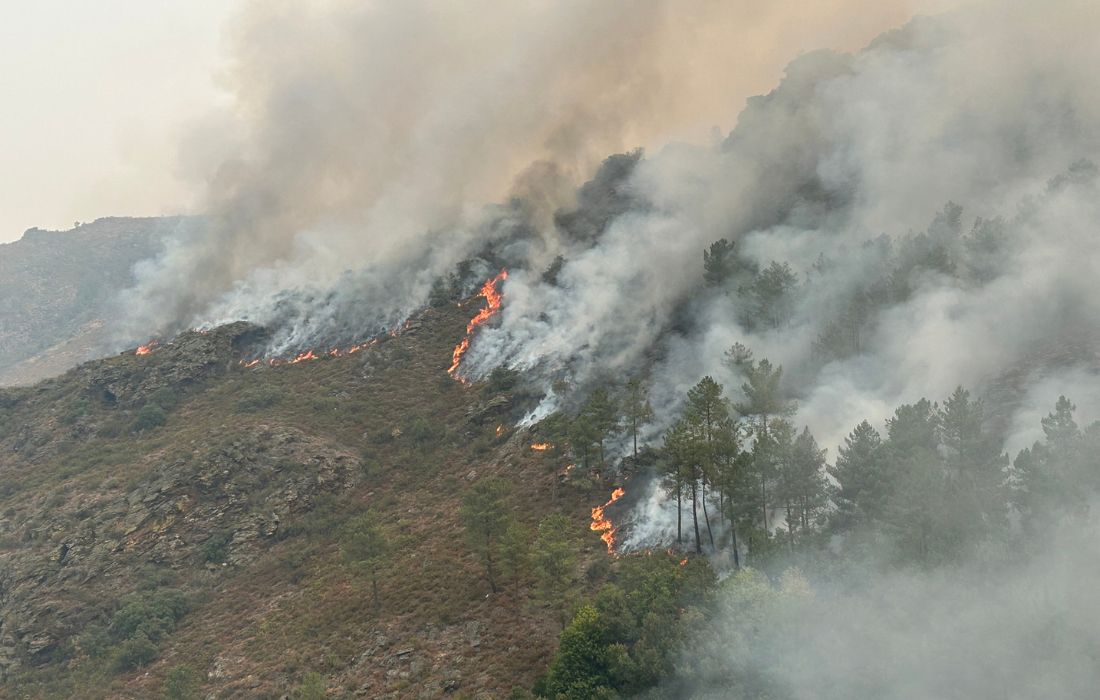 incendio-quiroga