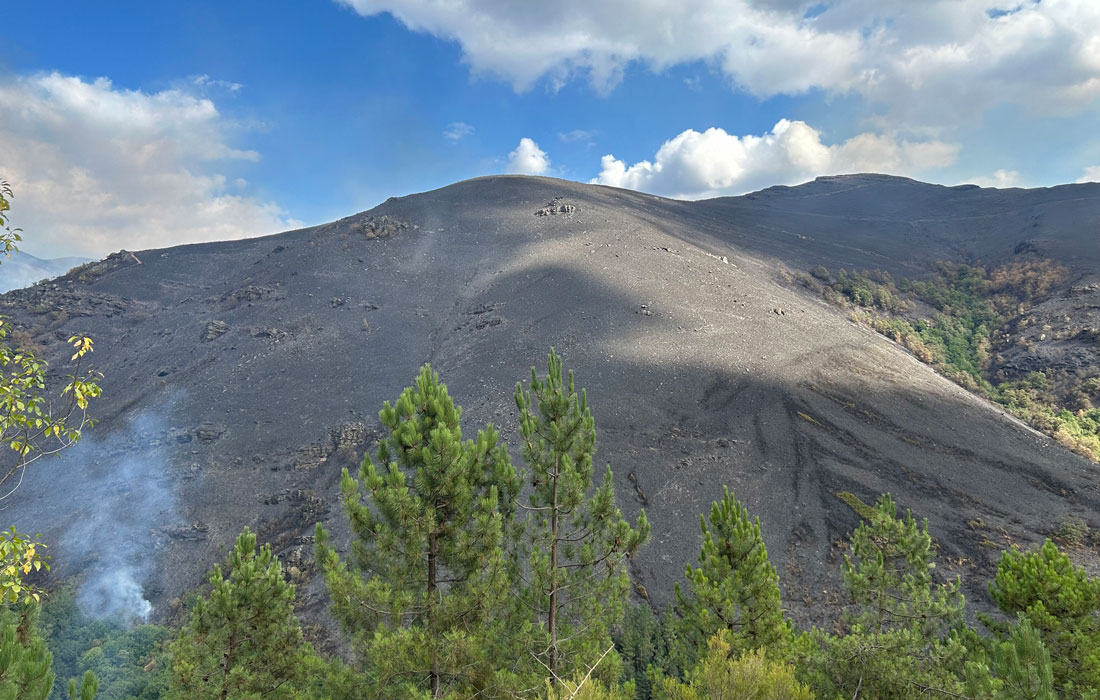 monte-quiroga-incendio-forestal