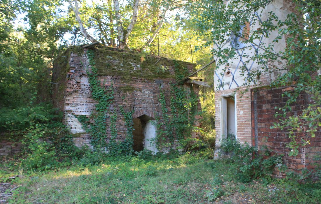 telleira-panton