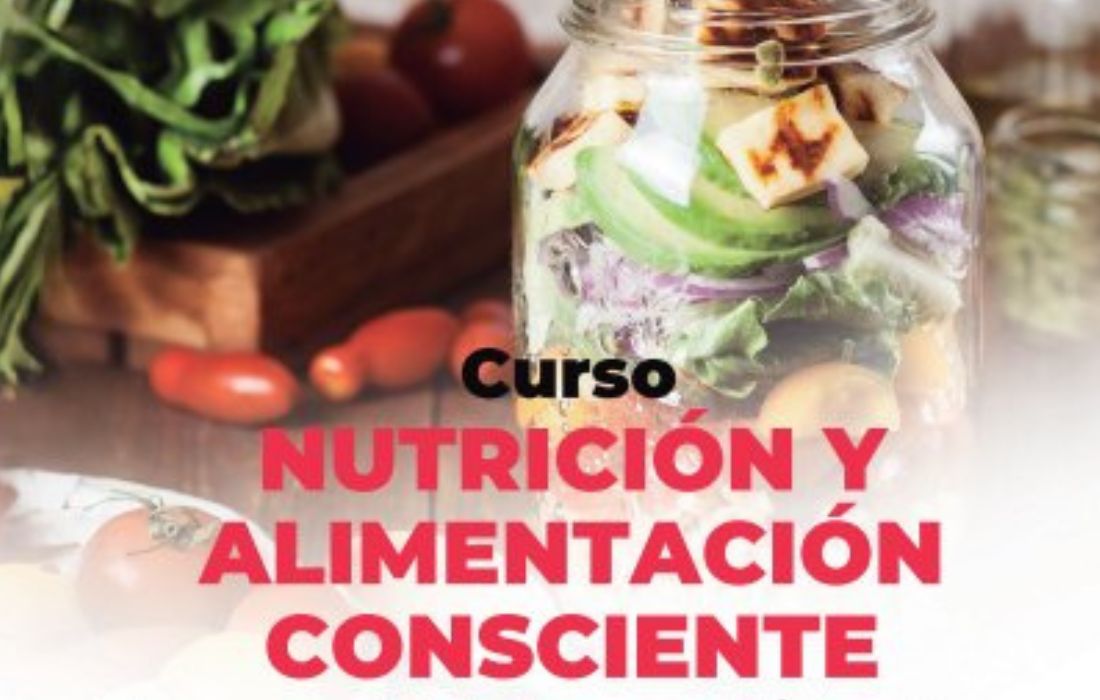 curso-nutricion-sober