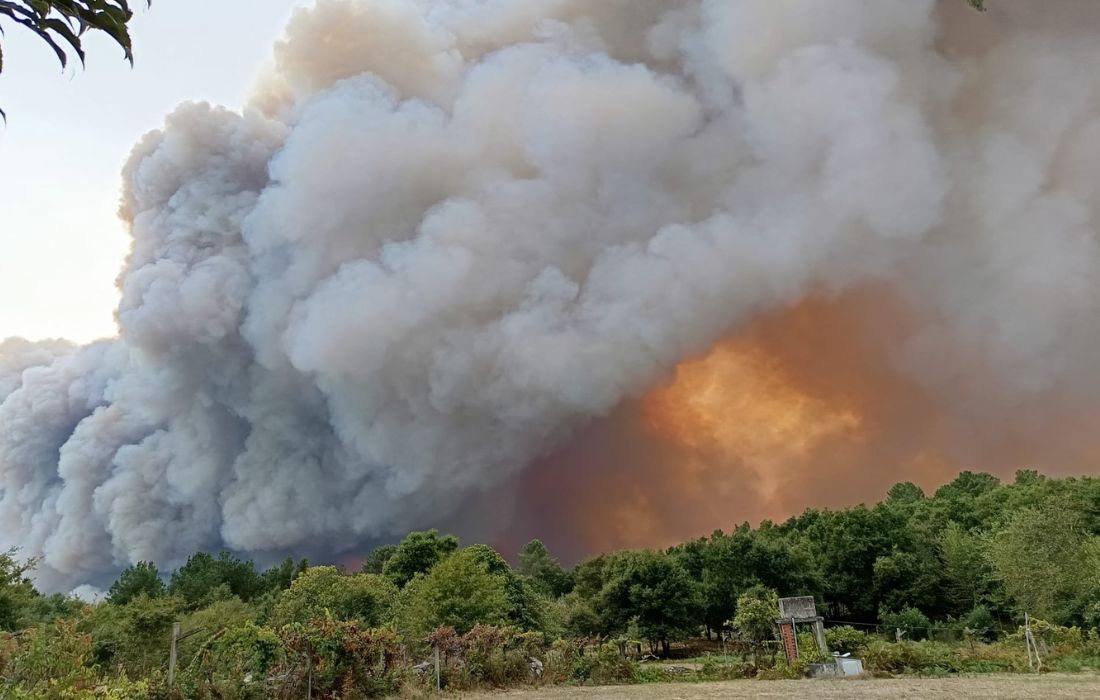 incendio-panton