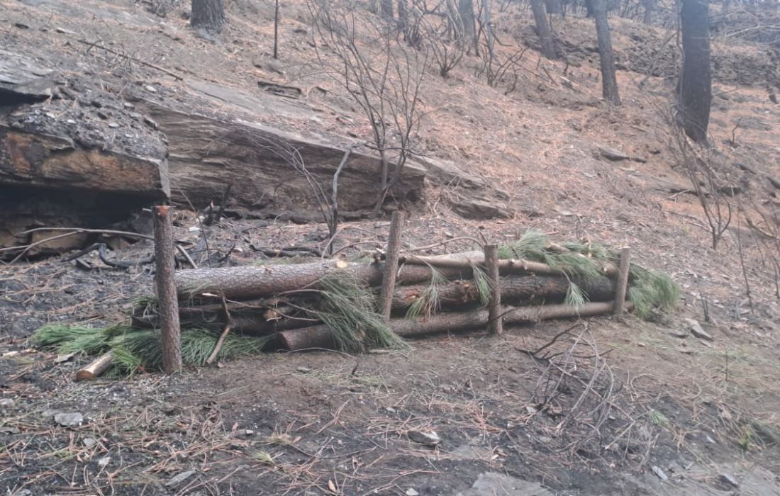 limpeza-rio-incendio-quiroga