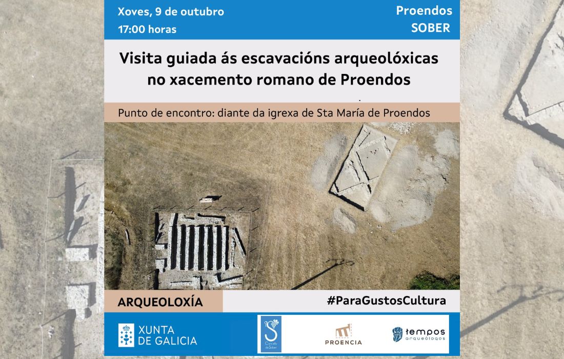 visita-proendos