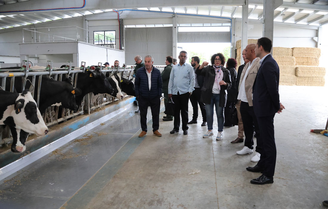 GRANXA-GAYOSO-CASTRO-USC-CAMPUS-DEPUTACION1