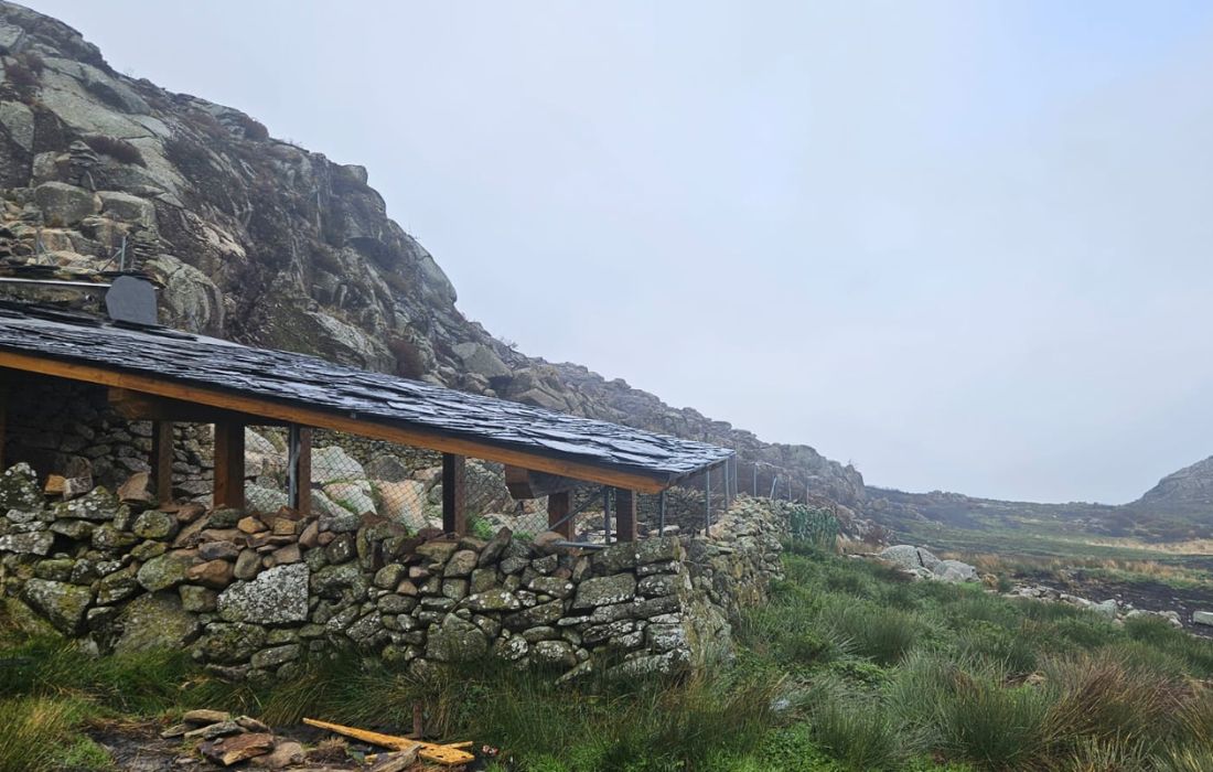 curro-de-pastores-de-a-mosenda-manzaneda