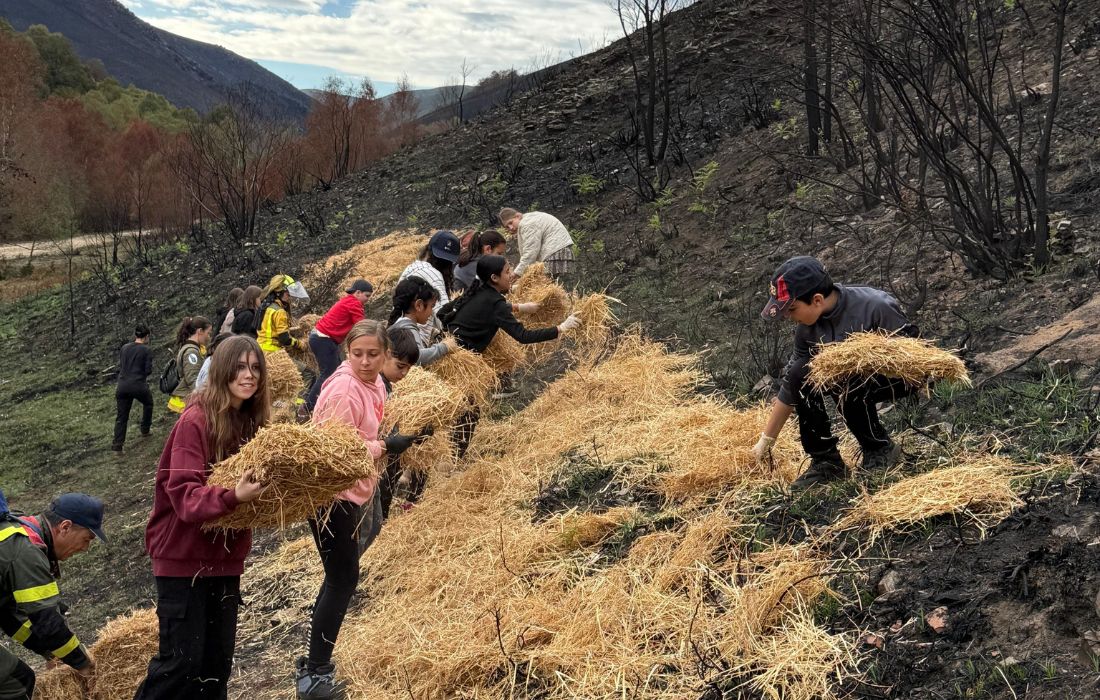 nenos-incendios-ourense
