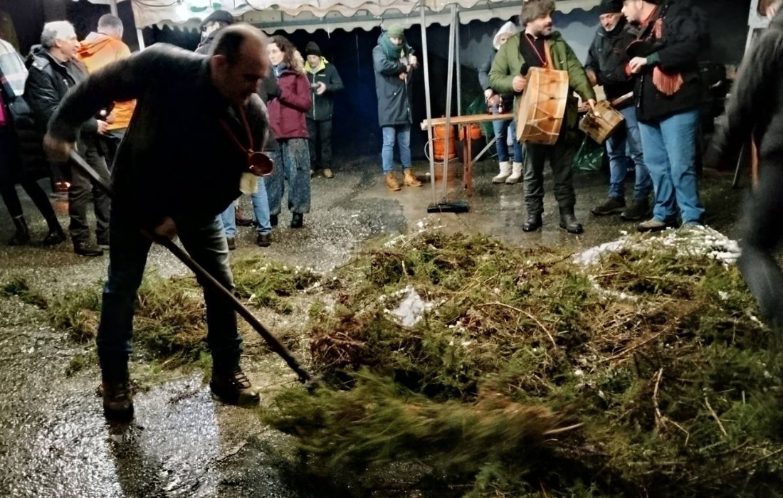 festa-toxo-san-vicente-vilamor