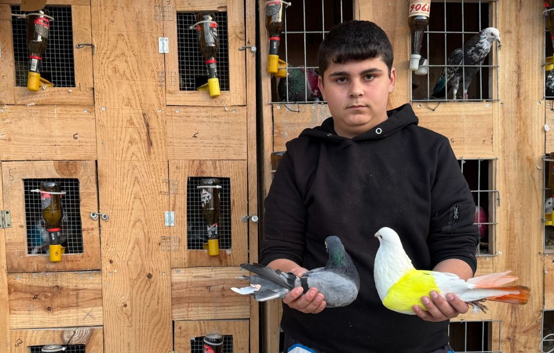 salvador-pallares-boveda