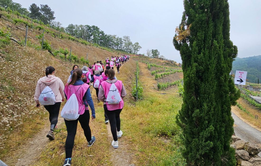 andaina-chantada-contra-o-cancro-2026