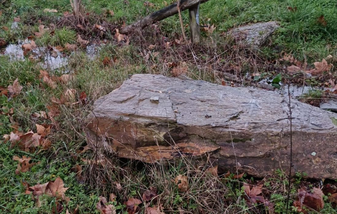 monolito-anton-viles-de-tamallancos