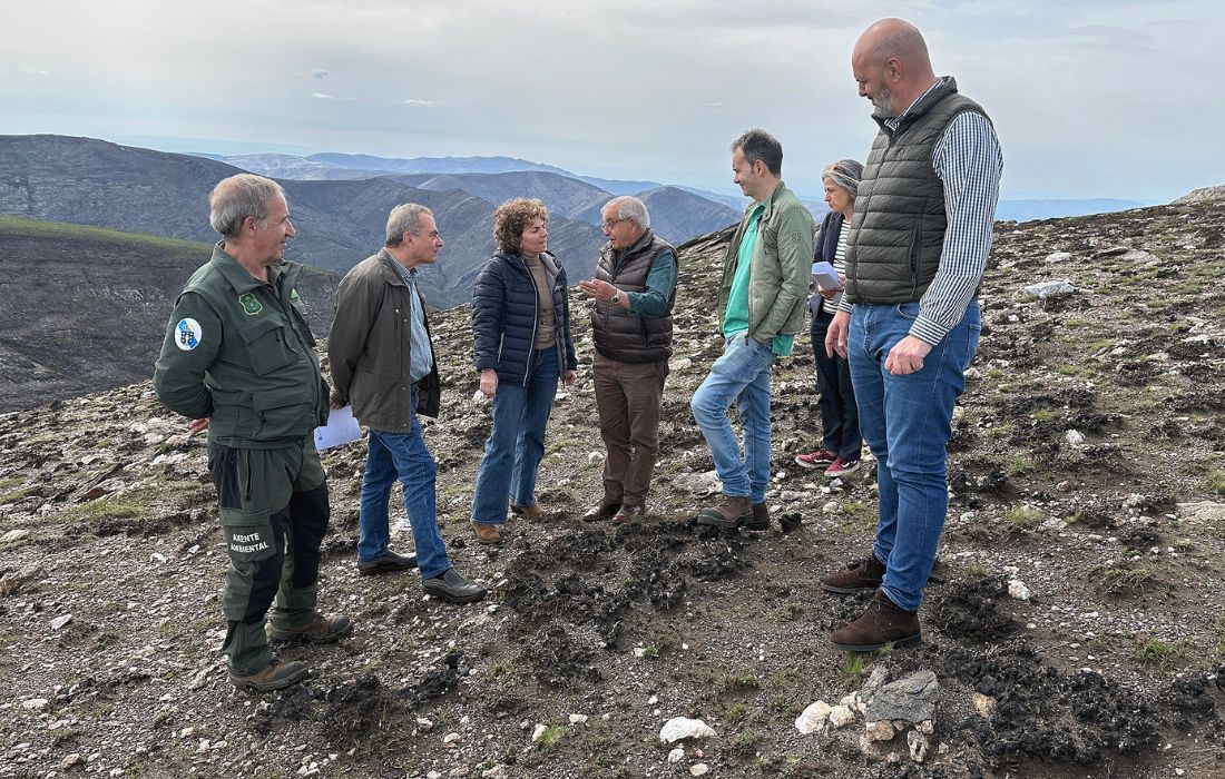 xunta-traballos-incendio-chandrexa