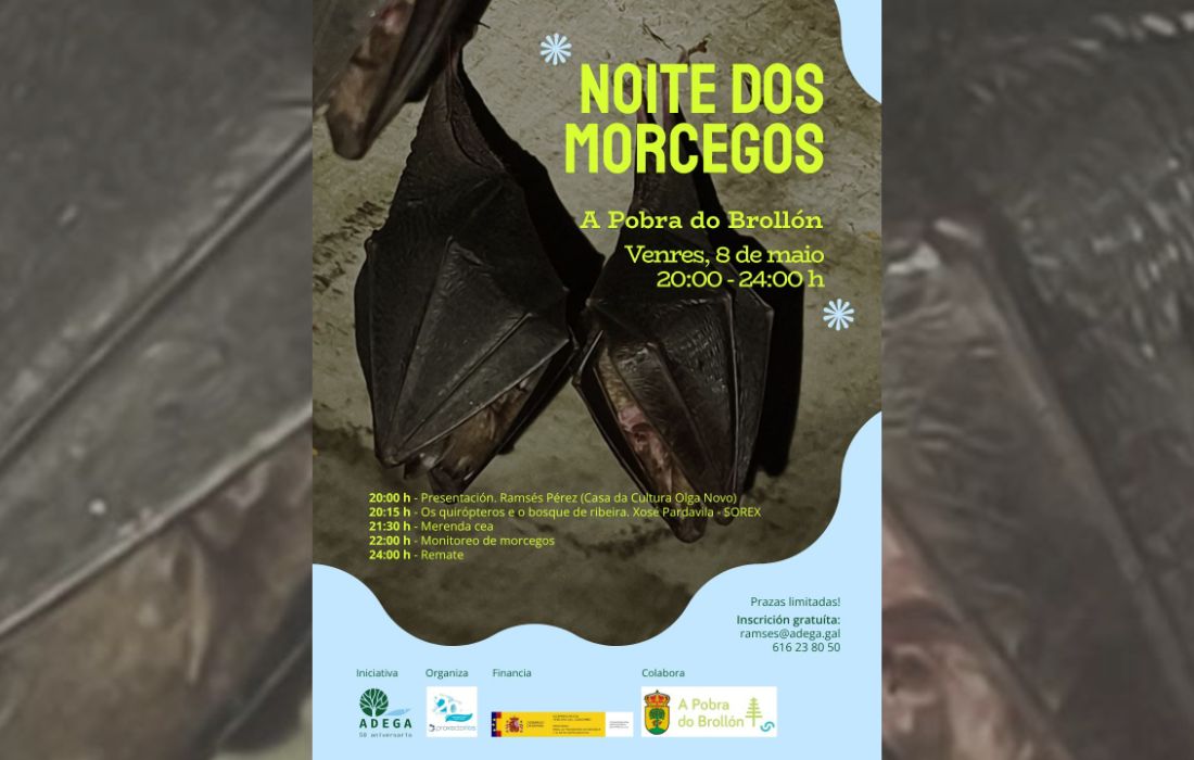 noite-dos-morcegos-brollon
