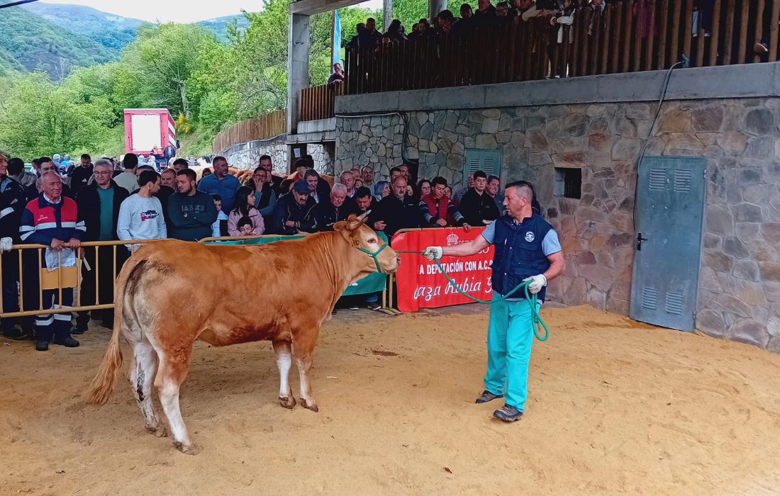 subasta-acruga-seoane
