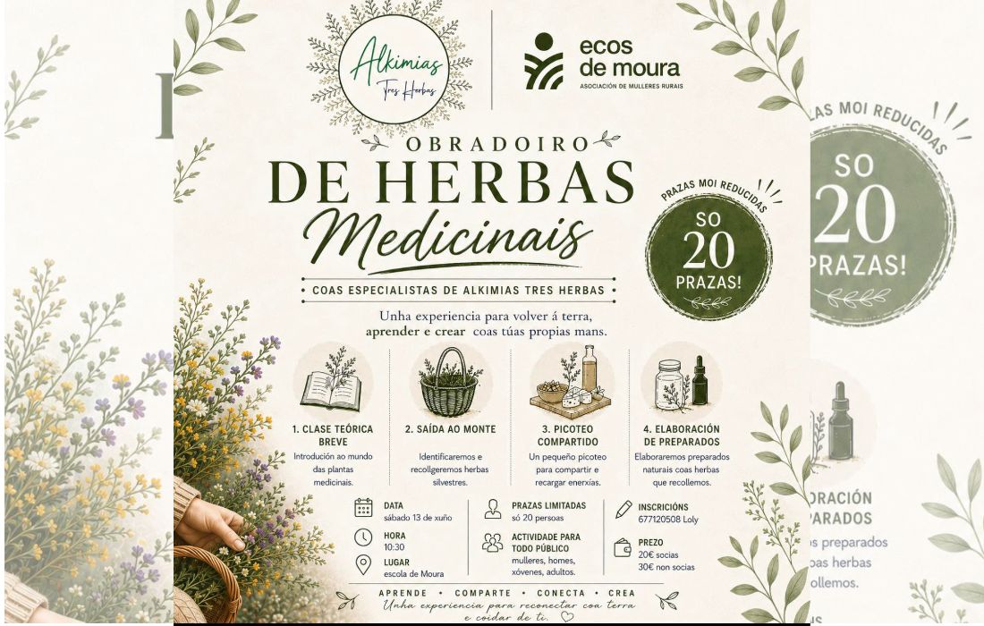 obradoiro-herbas-medicinais-eos-de-moura