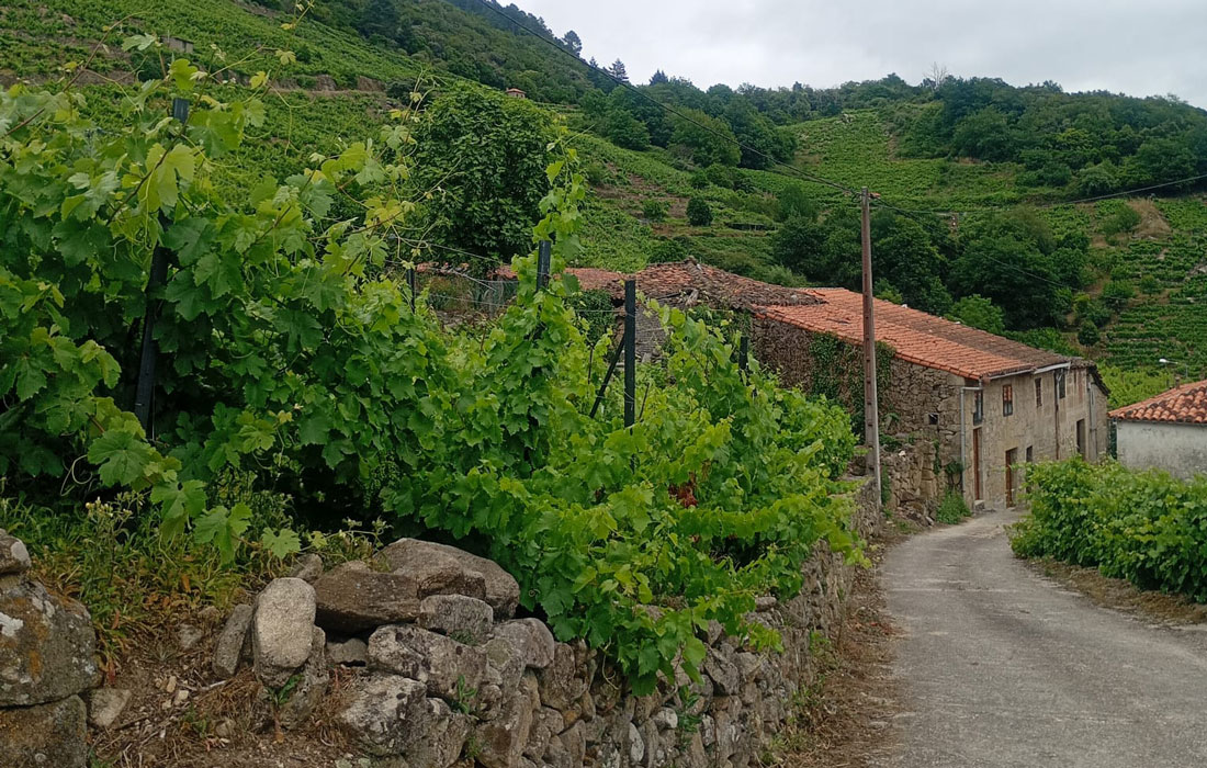 recurso-Ribeira-Sacra