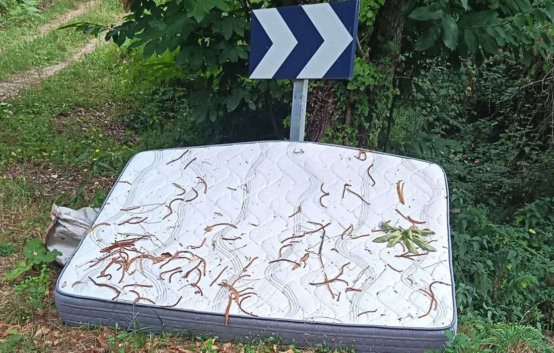 cama-tirada-monte-A-Teixeira