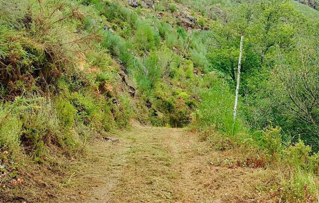 camiño-trail-capela-san-vitorio