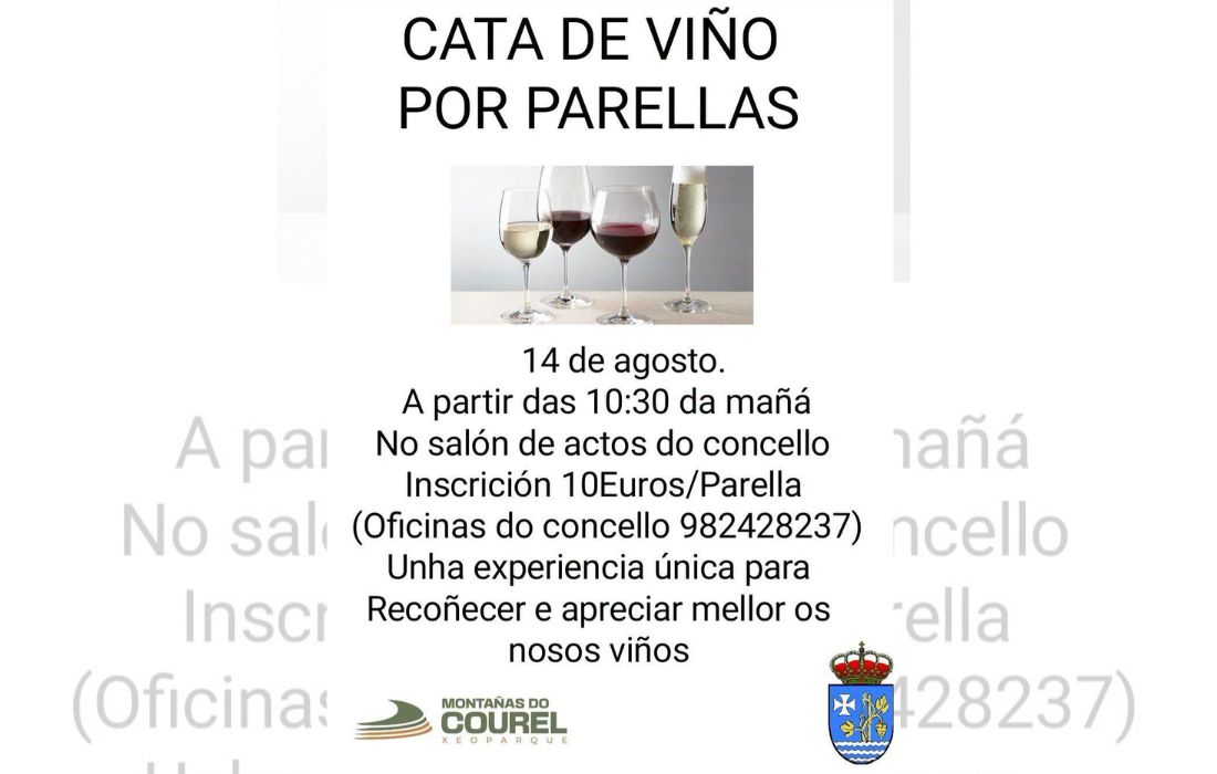cata_viño_ribasdesil