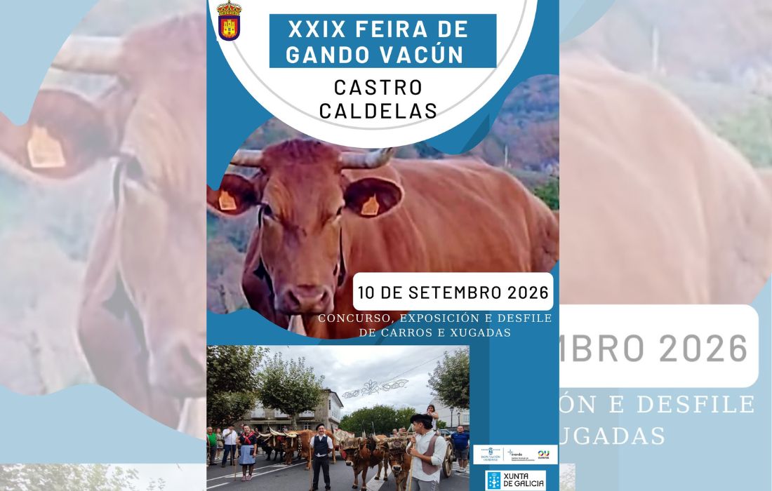 XXIX Feira de Gando Vacún Castro Caldelas