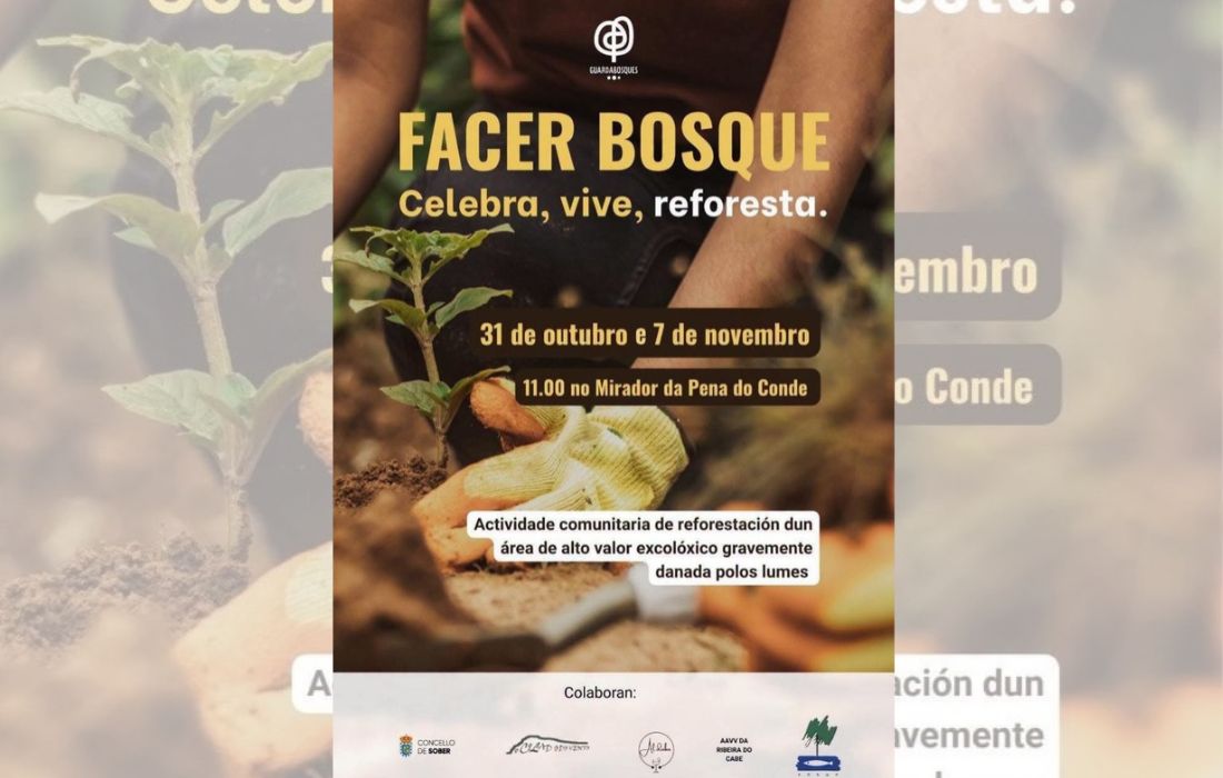 Facer Bosque Sober
