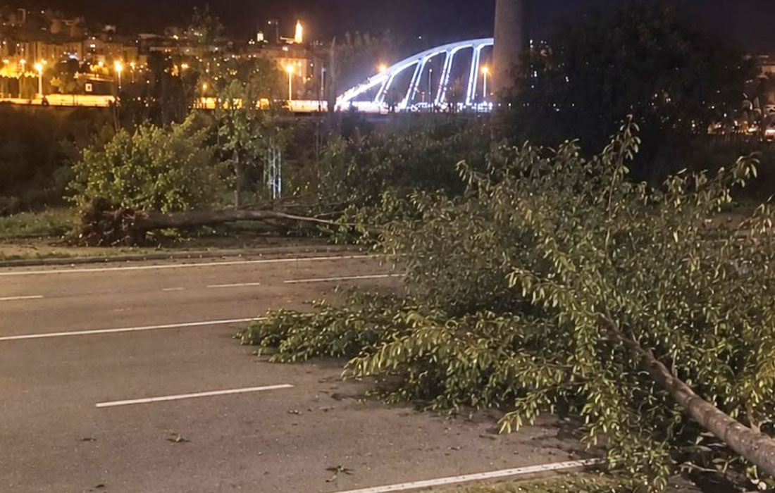árbores-caídas-terremoto-Ponferrada-4,2-2026
