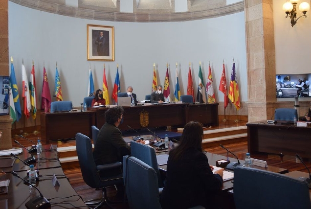 Pleno Consorcio de Bombeiros deputacion