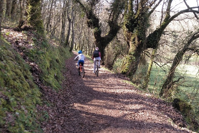 sarria ies xograr bicicletas 4