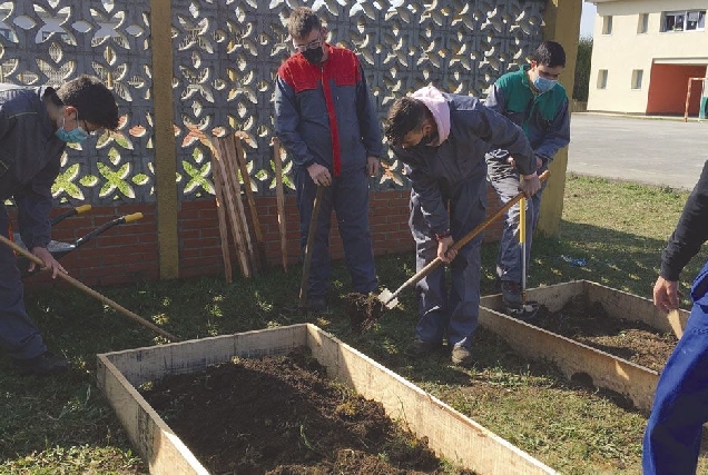 estudos agrarios ies terra cha 1