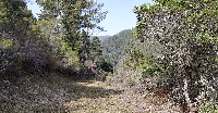 pobra brollón ruta castaña